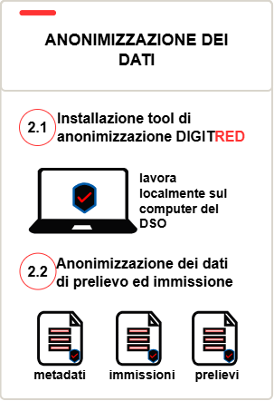Fase 2 del workflow qualitativo